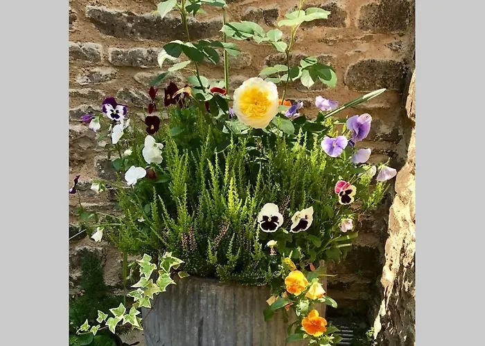 Oxfordshire Living - The Bowler Hat Cottage - Woodstock